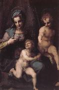 Andrea del Sarto Virgin Mary and Jeusu and John France oil painting artist